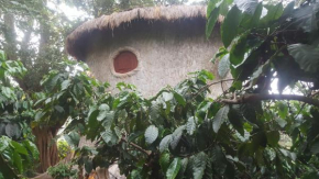 Rustic Charm Wayanad - The Roots (Treetop Suite)